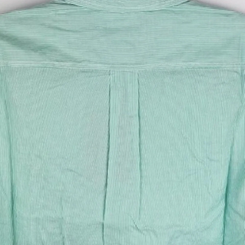 NWT Everlane The Silky Cotton Relaxed Shirt Mint Pinstripe size 2